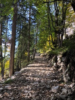 Personaltraining in Dachau und Umgebung