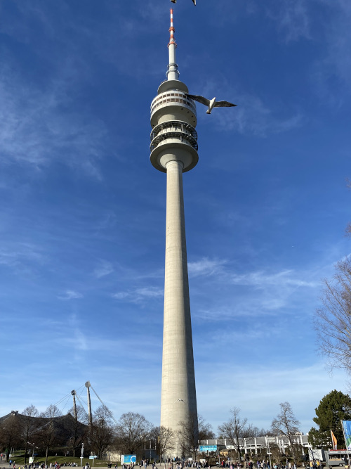 Wer will dieses Jahr noch hoch hinaus?